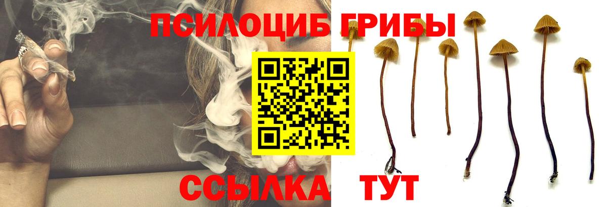 Псилоцибиновые грибы ЛСД  Вход с VPN  Котлас 
